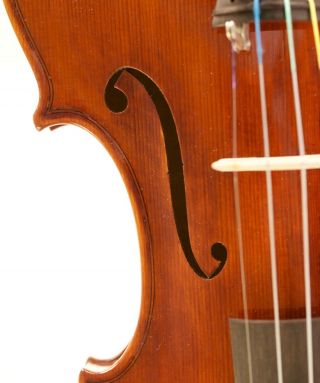 Great 4/4 Violin With Label: Pressenda Geige Violon Cello Solo Sound photo