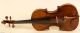 200,  Years Old Italian 4/4 Violin Violon Geige Lab.  : J.  B.  Guadagnini 1741 String photo 1