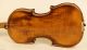 200,  Years Old Italian 4/4 Violin Violon Geige Lab.  : J.  B.  Guadagnini 1741 String photo 7