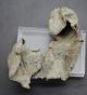 Rare Ancient Roman Sheet Metal Emperor Figure Fragment Roman photo 3