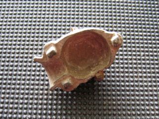 Antiques Ottoman Bronze Mold For Bullets Found With Metal Detector photo