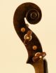 Old Masterpiece Italian Violin D.  N.  Amati 1730 Geige Violon Viola Violine Violino String photo 10