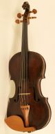 Old Masterpiece Italian Violin D.  N.  Amati 1730 Geige Violon Viola Violine Violino String photo 1