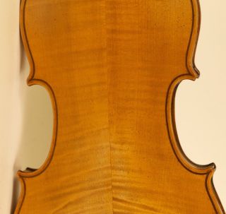 Old Fine Violin Lab.  G.  Sgarabotto Geige Violon Violine Violino Viola Cond. photo