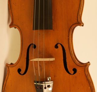 Old Rare Masterpiece Violin Soffritti 1925 Geige Violon Viola Violine Violino photo