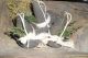 Handmade Primitive Halloween/fall Witch Hat Bowl Fillers/ornies Sm Primitives photo 1