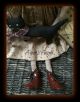 Primitive Folk Art Pumpkin Doll & Cat Ooak Grungy Halloween Fall Aspens Angels Primitives photo 2