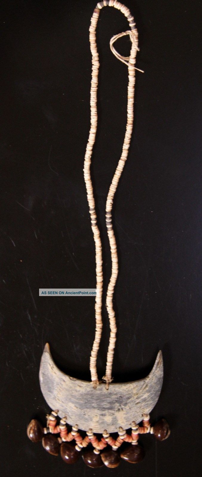 Solomon Island Crescent Currency Necklace Pacific Islands & Oceania photo