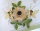 Vintage Shabby Tole Candle Holder Chic Butterflies Flowers Leaves Toleware photo 2
