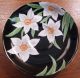 Antique Tuscan Bone China Cup And Saucer With Big White Flowers On Black Cups & Saucers photo 7