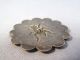 Antique Estate Button - Silver Insect / Bug Beetle 1 1/4 