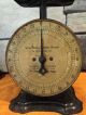 Antique 1906 Columbia Family Scale 24lbs Landers Frary And Clark N.  Bart? Look Scales photo 4
