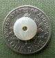 Antique Mother Of Pearl Buttons White Center Single Hole 8.  5mm - 40 Count Buttons photo 1