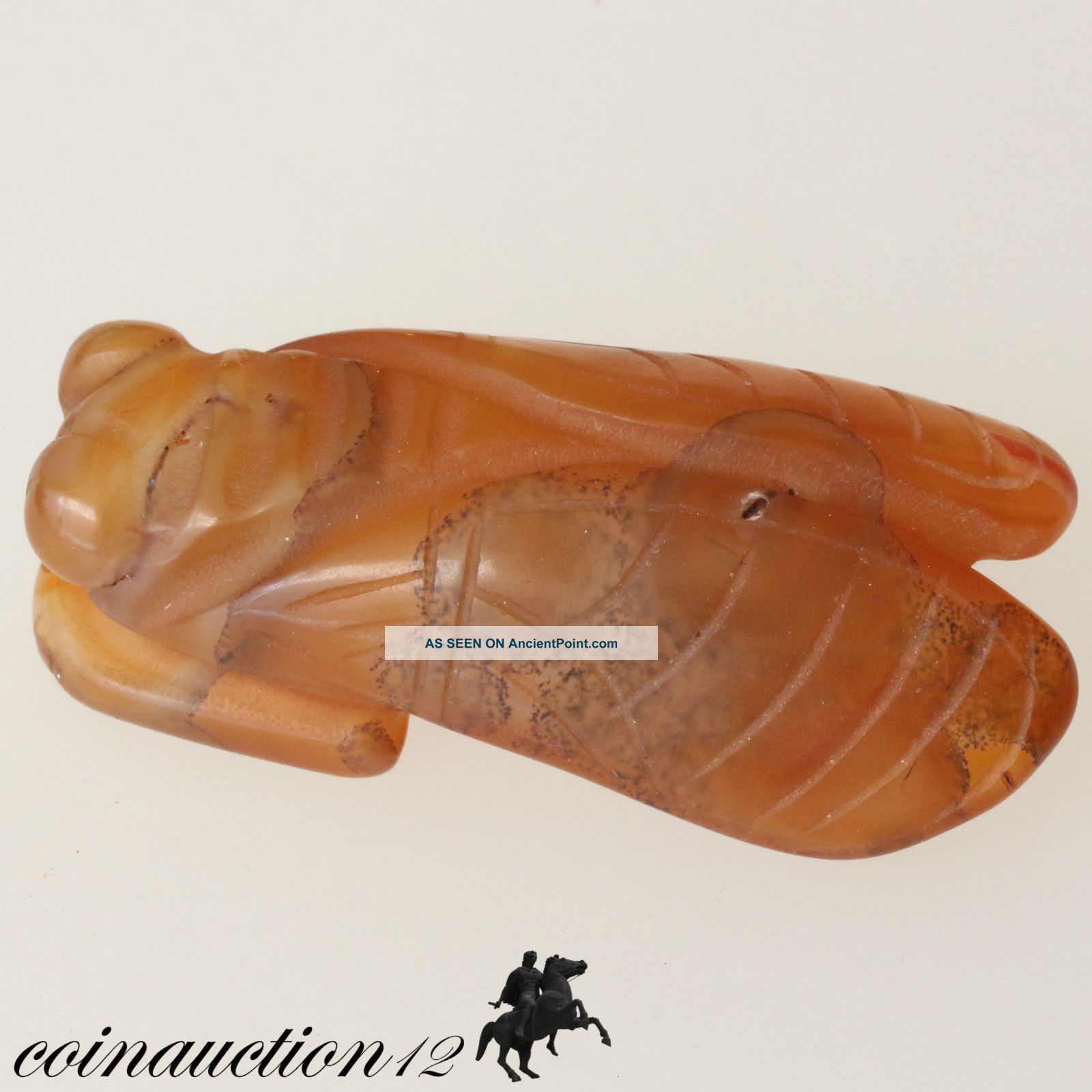 Undated Large Size Carnelian Hand Made Fly Roman photo