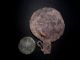 Well Preserved Rare Roman Lead & Billon Votive Mirrors Roman photo 2