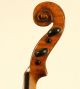 Solo Gun Antique Old 4/4 Violin Lab: I.  B.  Rogerious Violon Geige String photo 7