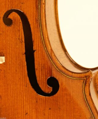 Crazy 300 Years Old Italian 4/4 Violin Labeled F.  Gobetti 1703 Violon Geige photo