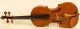 Crazy 300 Years Old Italian 4/4 Violin Labeled F.  Gobetti 1703 Violon Geige String photo 1