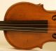 Crazy 300 Years Old Italian 4/4 Violin Labeled F.  Gobetti 1703 Violon Geige String photo 4