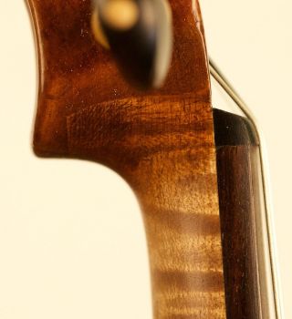 Gorgeos Antique Old 4/4 Violin Lab: J.  F.  Pressenda 1829 Violon Geige photo