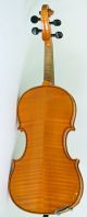 Antique Old 4/4 Violin Lab: A.  Poggi 1951 Violon Geige String photo 3