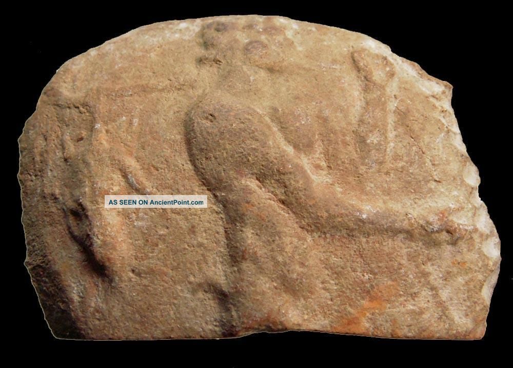 Hhc Roman Terra Sigilata Sherd,  Marketplace Scene,  56mm Roman photo