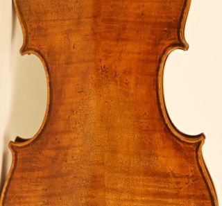 Gorgeos 4/4 Violin Lab: C.  G.  Oddone 1905 Violon Geige photo
