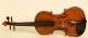 Gorgeos 4/4 Violin Lab: C.  G.  Oddone 1905 Violon Geige String photo 1