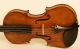 Gorgeos 4/4 Violin Lab: C.  G.  Oddone 1905 Violon Geige String photo 2