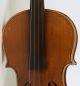 Old Fine Violin L.  Rastelli 1850 Geige Violon Violine Violino Viola Italian Fiddl String photo 11