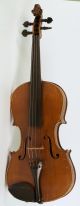 Old Fine Violin L.  Rastelli 1850 Geige Violon Violine Violino Viola Italian Fiddl String photo 1