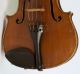Old Fine Violin L.  Rastelli 1850 Geige Violon Violine Violino Viola Italian Fiddl String photo 3