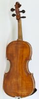 Old Fine Violin Carcassi 1745 Geige Violon Violine Violino Viola Italian Fiddle String photo 5