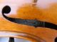 Antique Violin Labeled Cesare Candi 1923 No 177 String photo 11