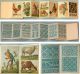 Colorful Antique Charted Design Embroidery Booklet French Circa 1880 Other Antique Sewing photo 2