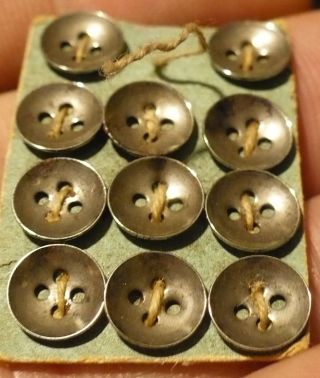 Antique Button Card Of 11 Very Small Cup Shaped Steel Metal Buttons 5/16 