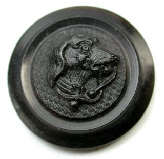 Antique Horn Sporting Button Collered Dog W Leash In Mouth Just Over 1 