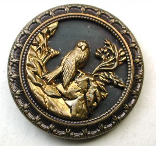 Antique Brass Button Falcon Perched On A Rocky Ledge Pictorial photo