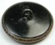 Antique Brass Button Falcon Perched On A Rocky Ledge Pictorial Buttons photo 1