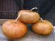 Primitive Halloween Pumpkin Pinkeep With Antique Cast Iron Base Thimble & Pins Primitives photo 4