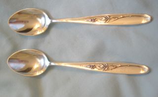 Htf Towle Sterling Rose Solitaire 2 Demitasse Spoons Silver 1954 No Mono photo