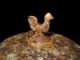 Extremely Rare 1700 - 1800s.  Iron Betty Oil Lamp,  Rooster On Top, Roman photo 2
