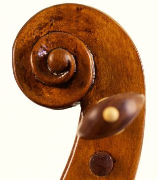 Great Piece Of Italy Year 1847 Old 4/4 Violin Lab: Livorno Violon Geige photo