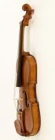 Great Piece Of Italy Year 1847 Old 4/4 Violin Lab: Livorno Violon Geige String photo 7