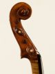 Great Piece Of Italy Year 1847 Old 4/4 Violin Lab: Livorno Violon Geige String photo 8