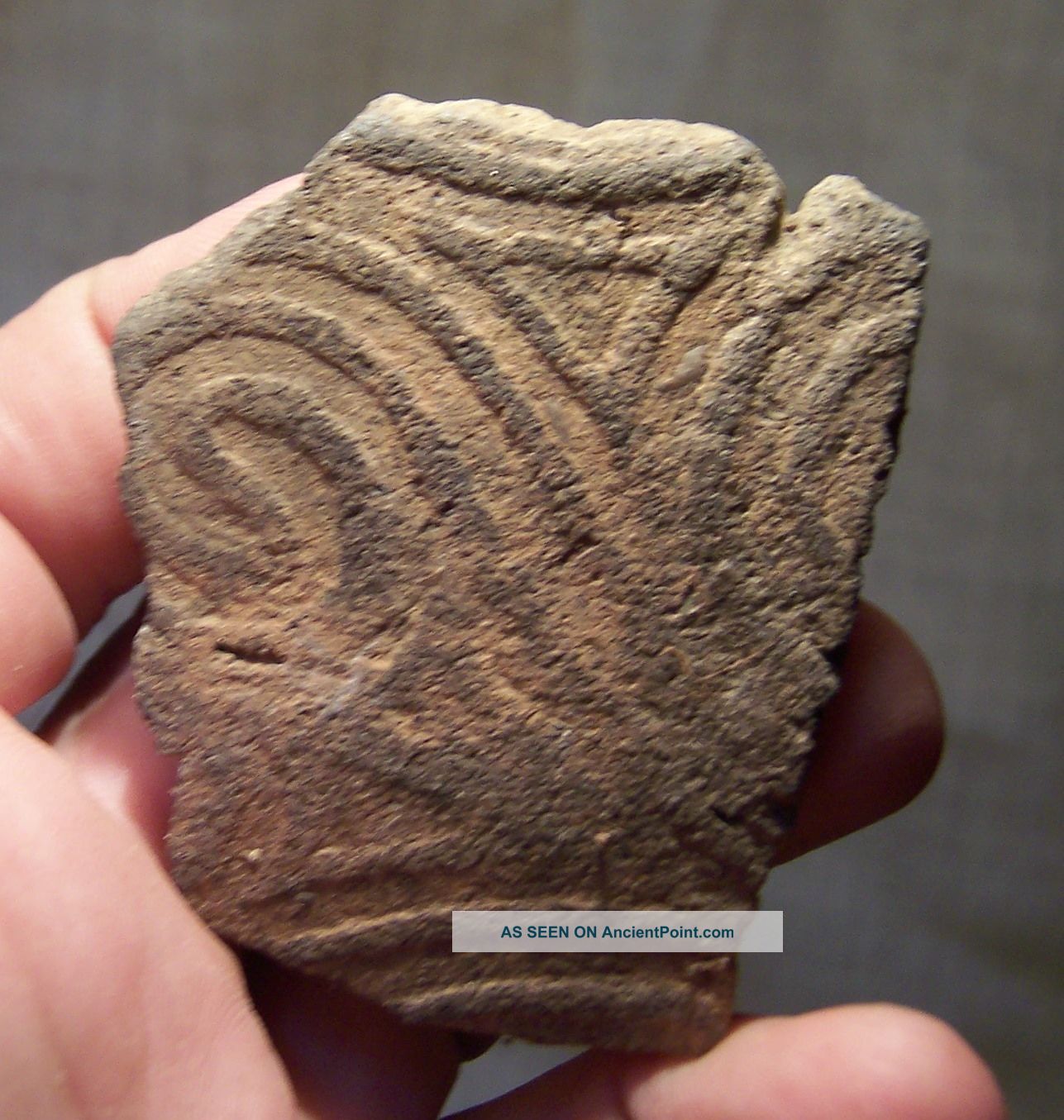 Precolumbian Pottery Shard Alabama Indians 900 - 1200 A.  D.  Clay Artifact The Americas photo