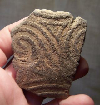Precolumbian Pottery Shard Alabama Indians 900 - 1200 A.  D.  Clay Artifact photo