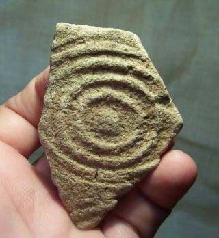 Precolumbian Pottery Shard Alabama 900 - 1200 A.  D.  