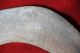 Old Carved Australian Aboriginal Boomerang… From Western South Wales. Other Ethnographic Antiques photo 2