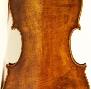 A Tasty Violin Old 4/4 Violin Lab: J.  B.  Guadagnini 173? Violon Geige photo
